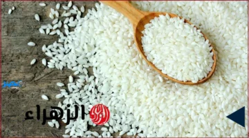 تغييرات الأسعار.. تحديث سعر طن الأرز الشعير في السوق اليوم الأربعاء 8 أكتوبر